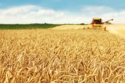 Agriculture
